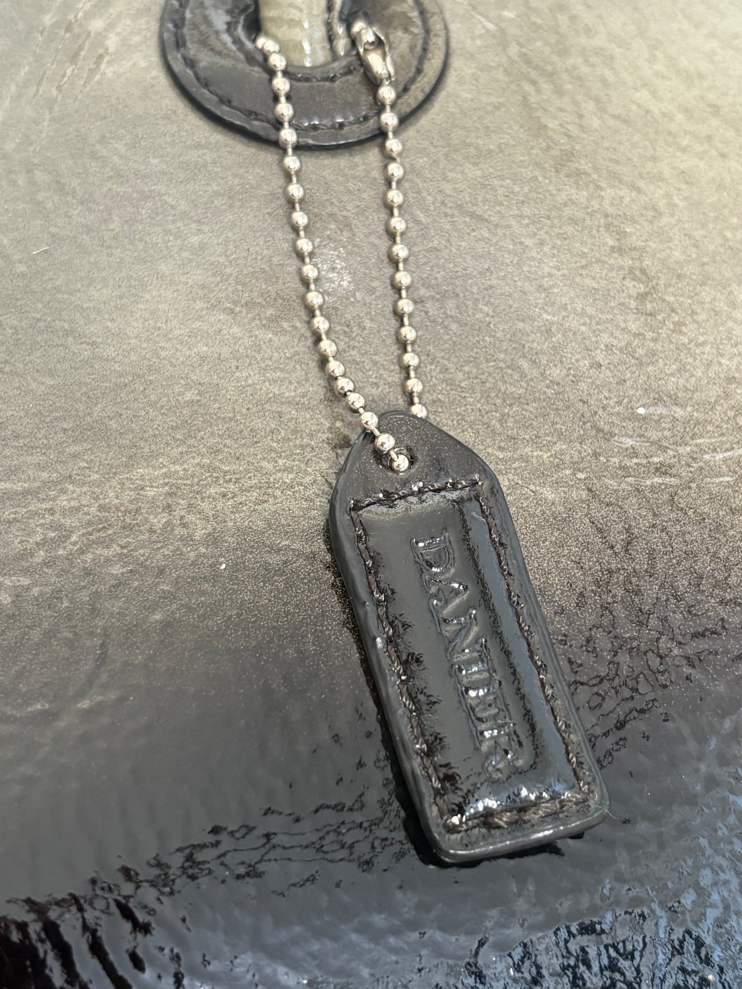 DANIER OMBRÉ LEATHER BAG